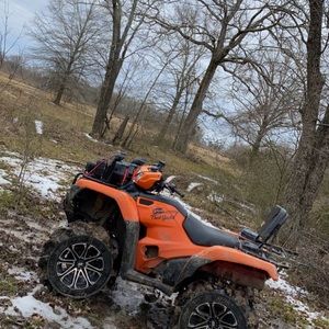 Meet your Posher, Beau